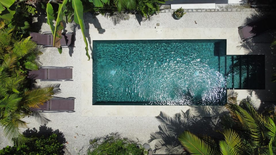 Day, Bird's eye view, Swimming pool