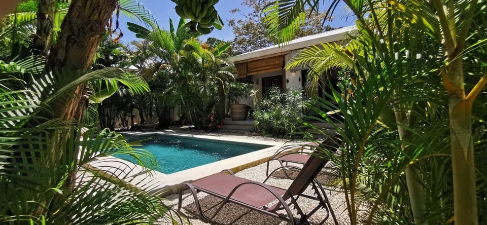 Garden view, Swimming pool