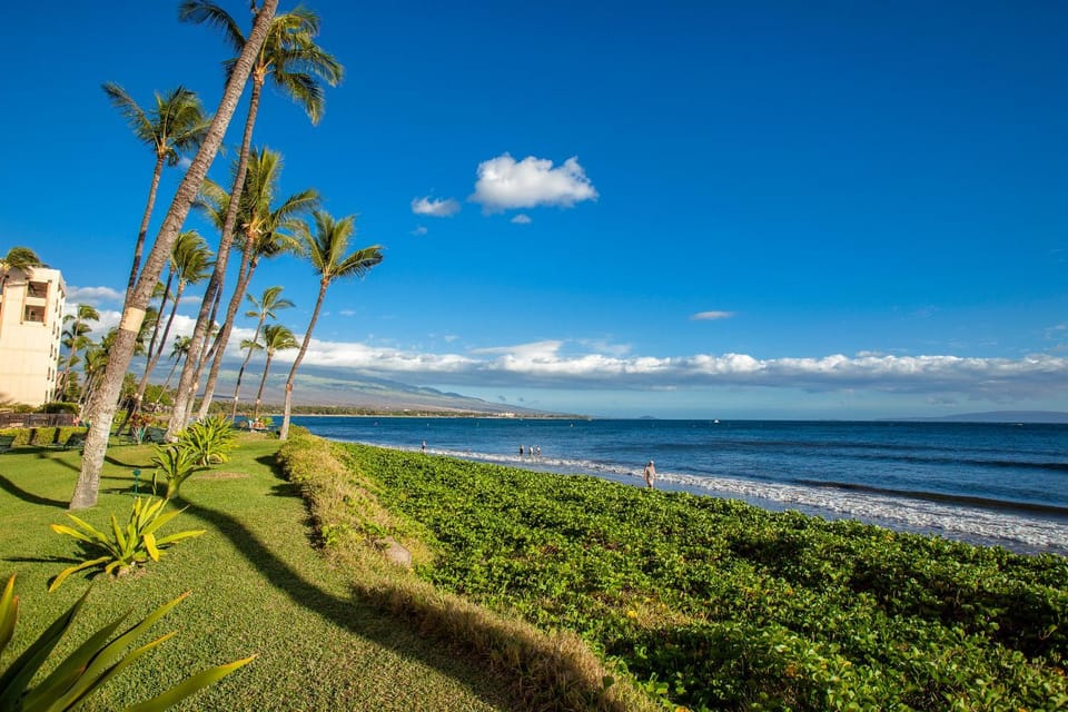 Sugar Beach 618 Apartment in Maalaea