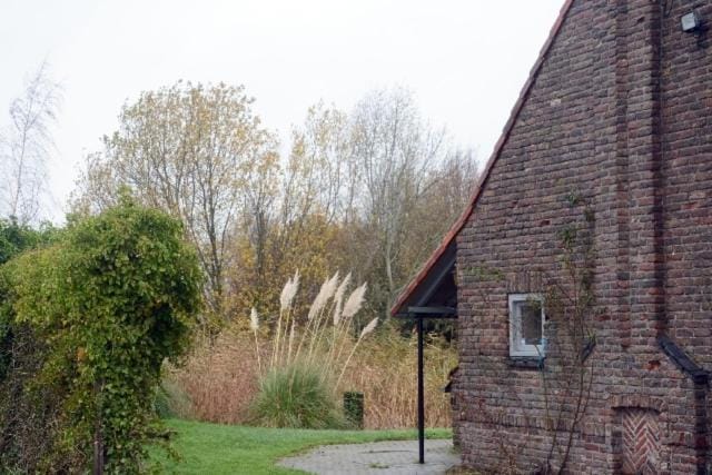 Property building, Summer