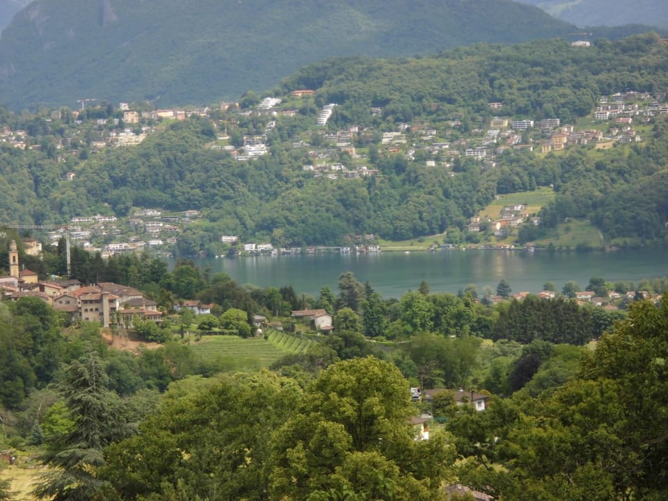 Lake view