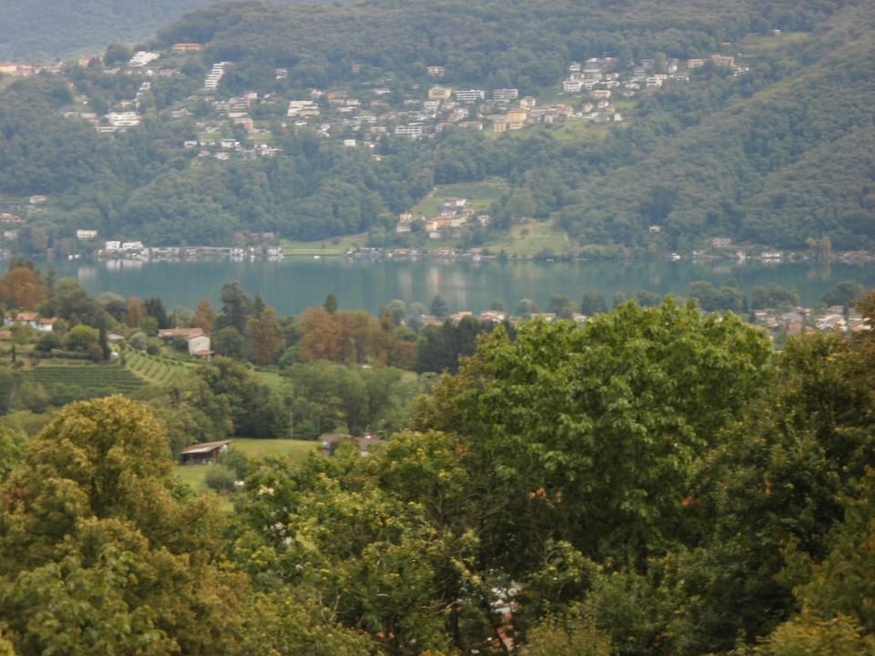 Lake view