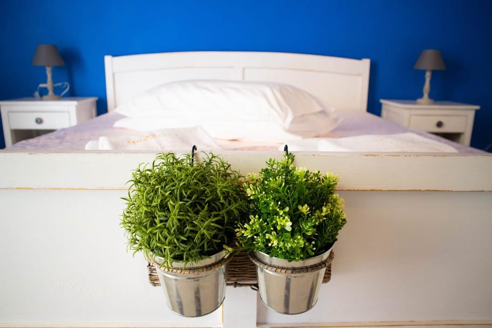 Bed, Coffee/tea facilities, Other, Photo of the whole room, Decorative detail, Bedroom