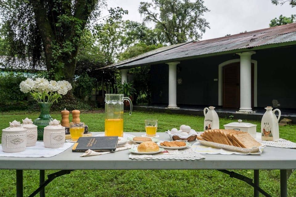 Garden, Dining area