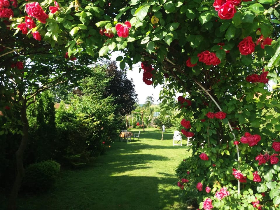 Hajnalka vendégház Bed and Breakfast in Hungary