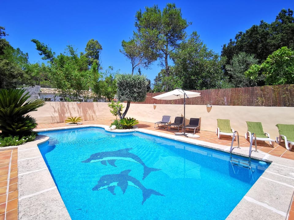 Patio, Garden, Swimming pool