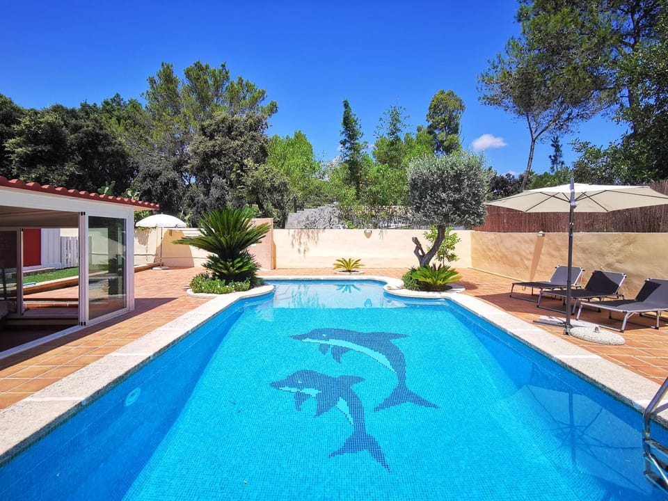 Patio, Garden, Swimming pool