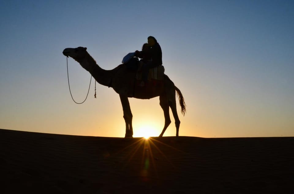 Day, Horse-riding, Animals, Sunrise, Sunset