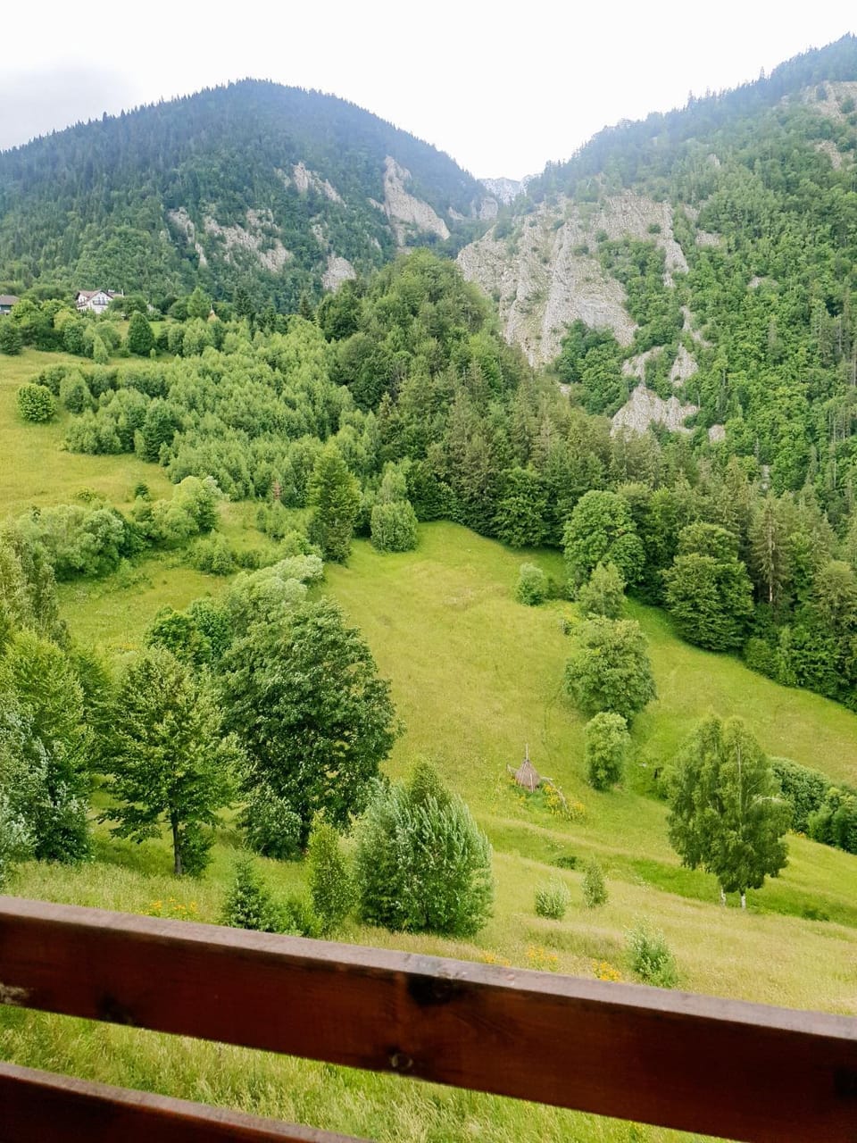Mosorel Bed and Breakfast in Brașov County