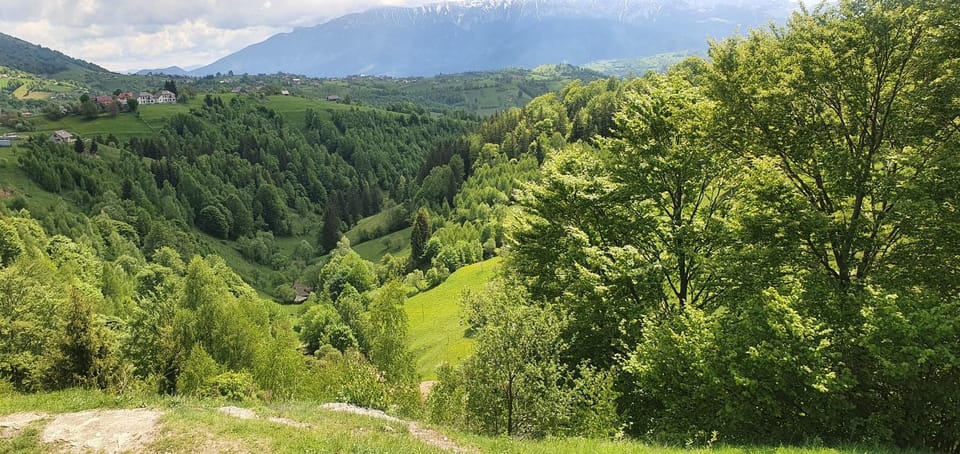 Mosorel Bed and Breakfast in Brașov County