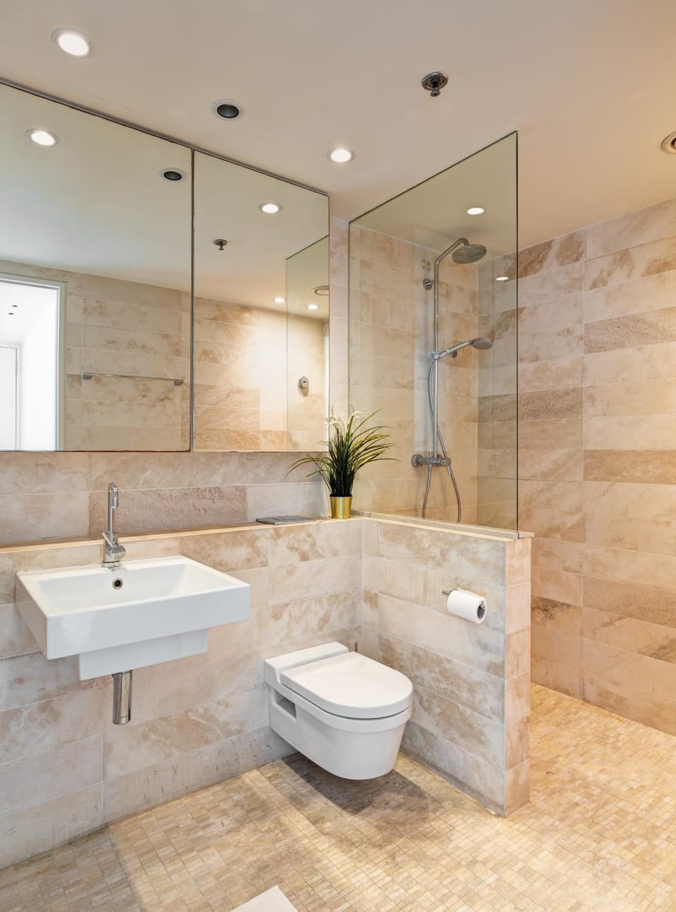 Shower, Toilet, Bathroom