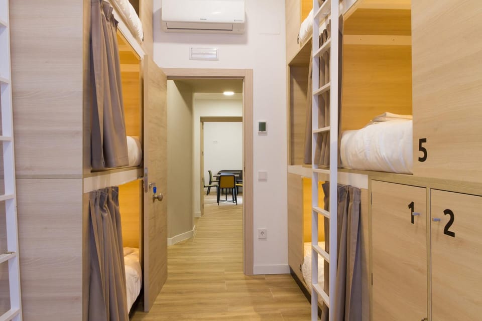 Bed, Photo of the whole room, Bedroom, bunk bed
