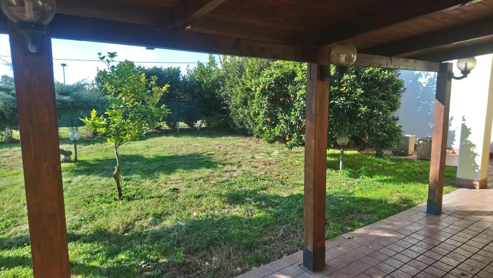 Garden, Inner courtyard view