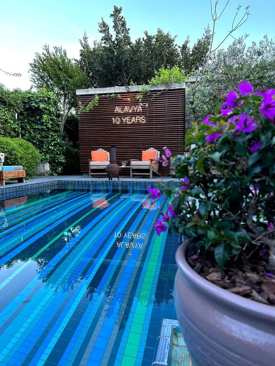Pool view, Swimming pool