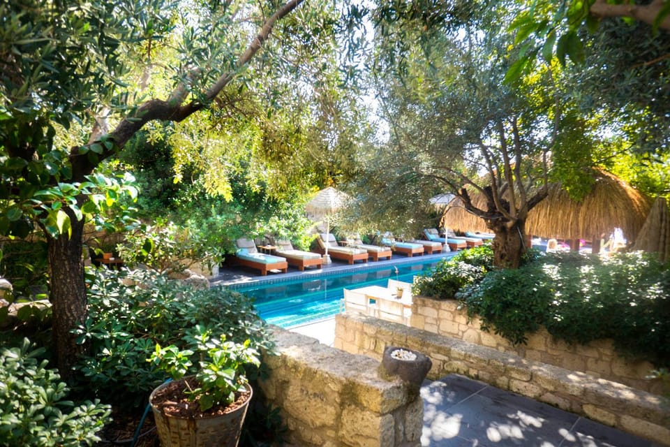 Garden, Garden, Swimming pool, Swimming pool, sunbed