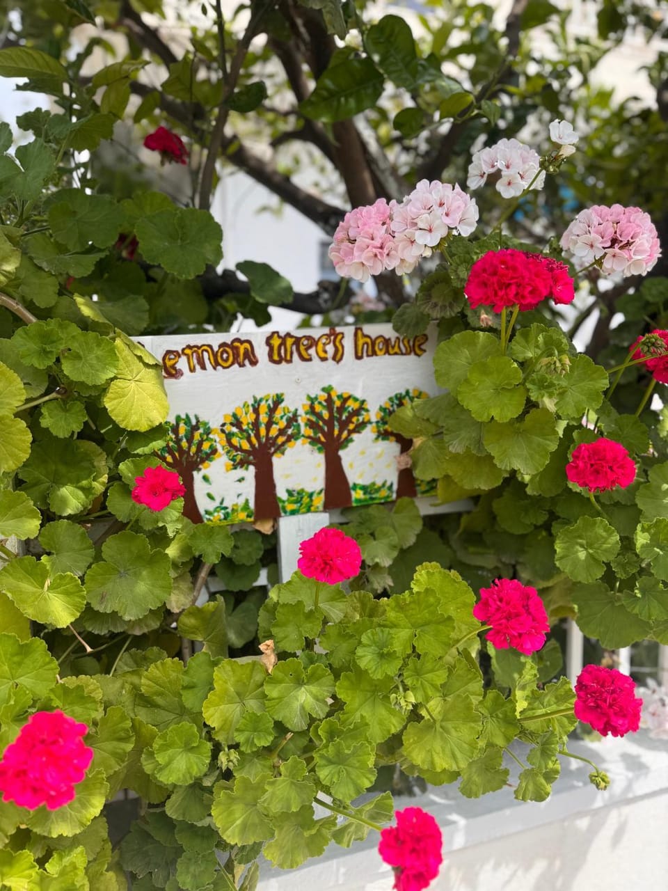 Property logo or sign, Garden
