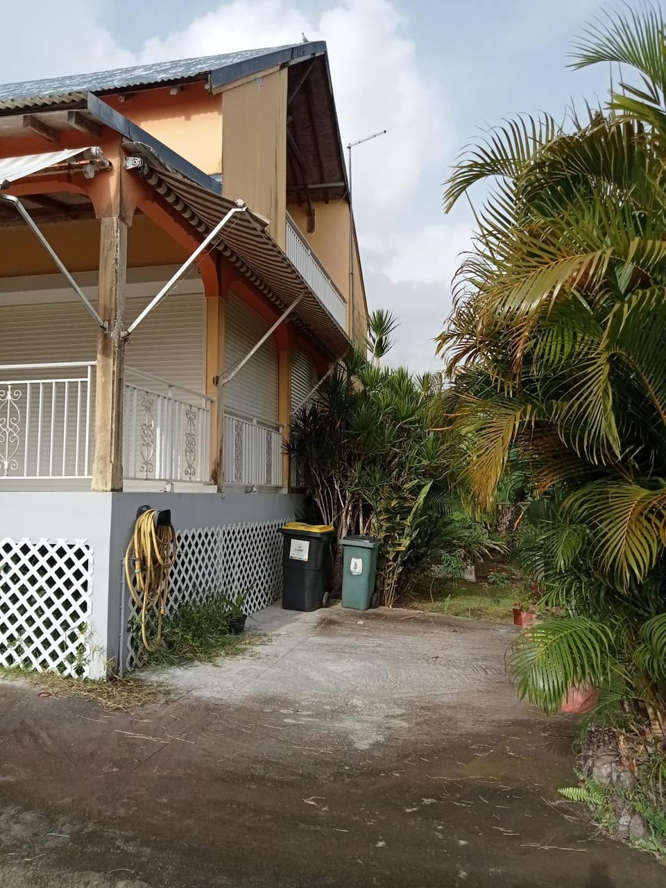 Property building, Garden, Garden view