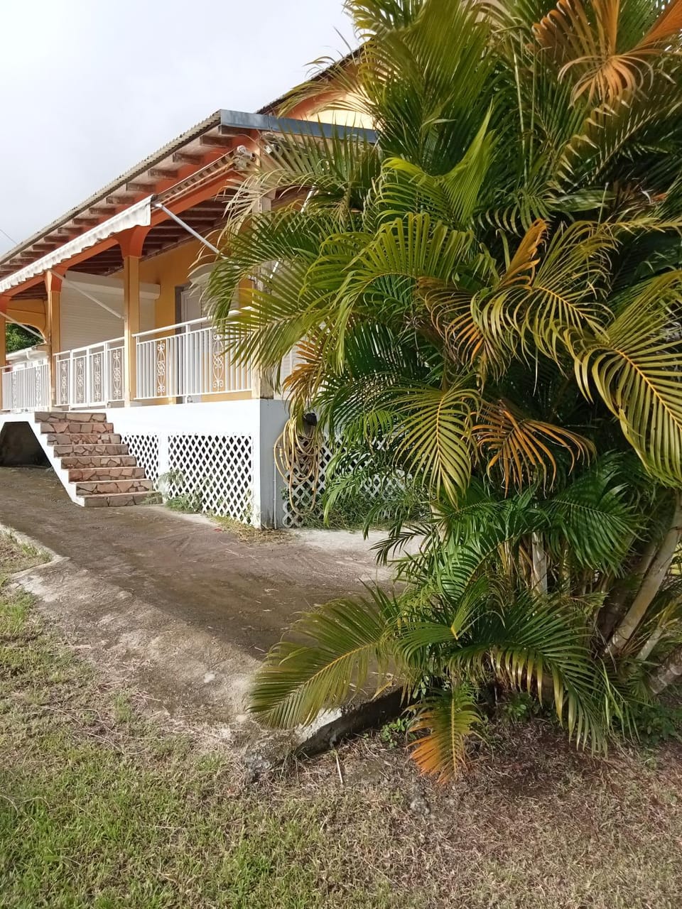 Property building, Garden view