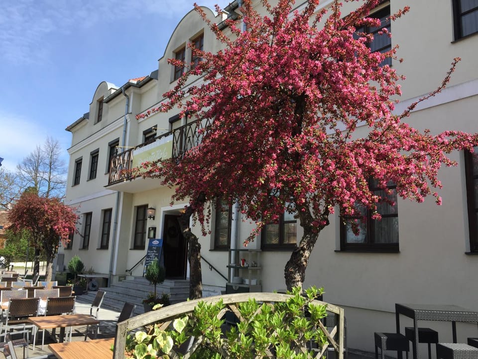 Property building, Spring