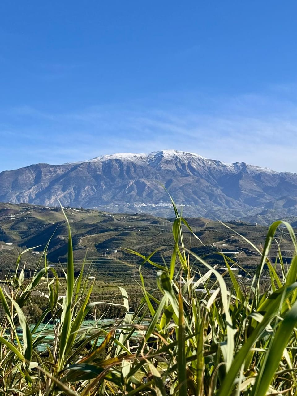 Mountain view
