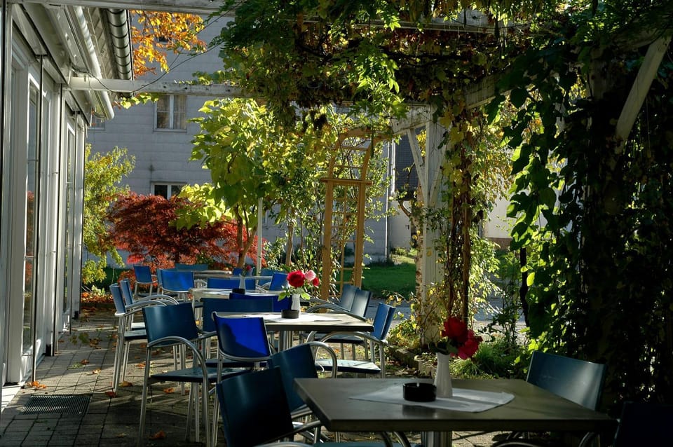Patio, Day, Garden, Balcony/Terrace