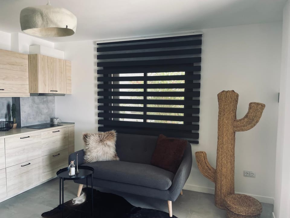 Living room, kitchen