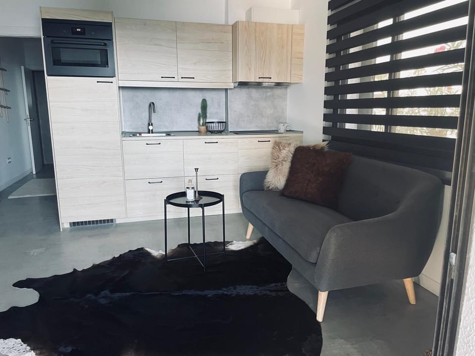 Living room, kitchen