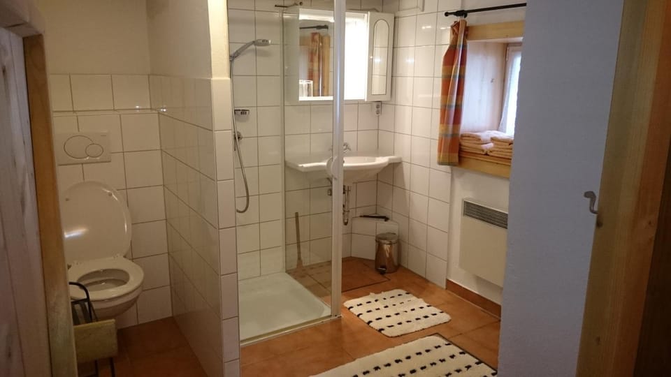 Shower, Toilet