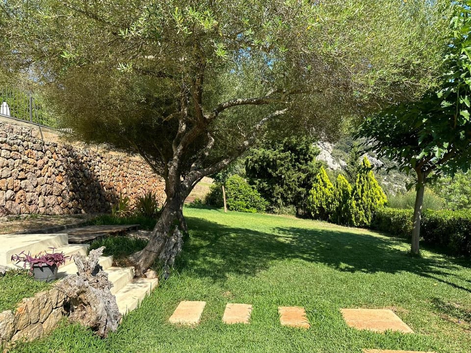 Villa Sestret By LeMón Holiday House in Serra de Tramuntana