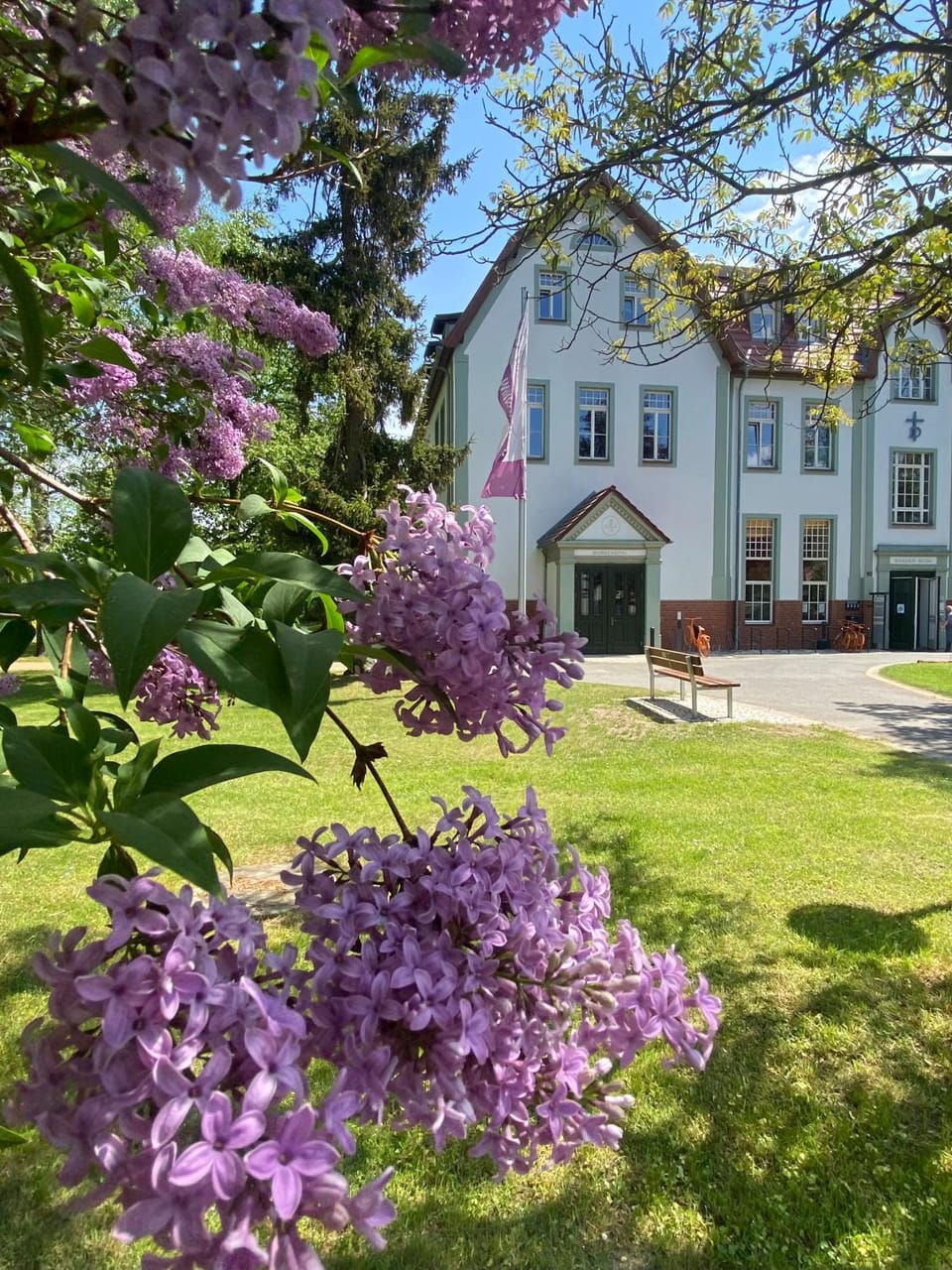 Property building, Garden