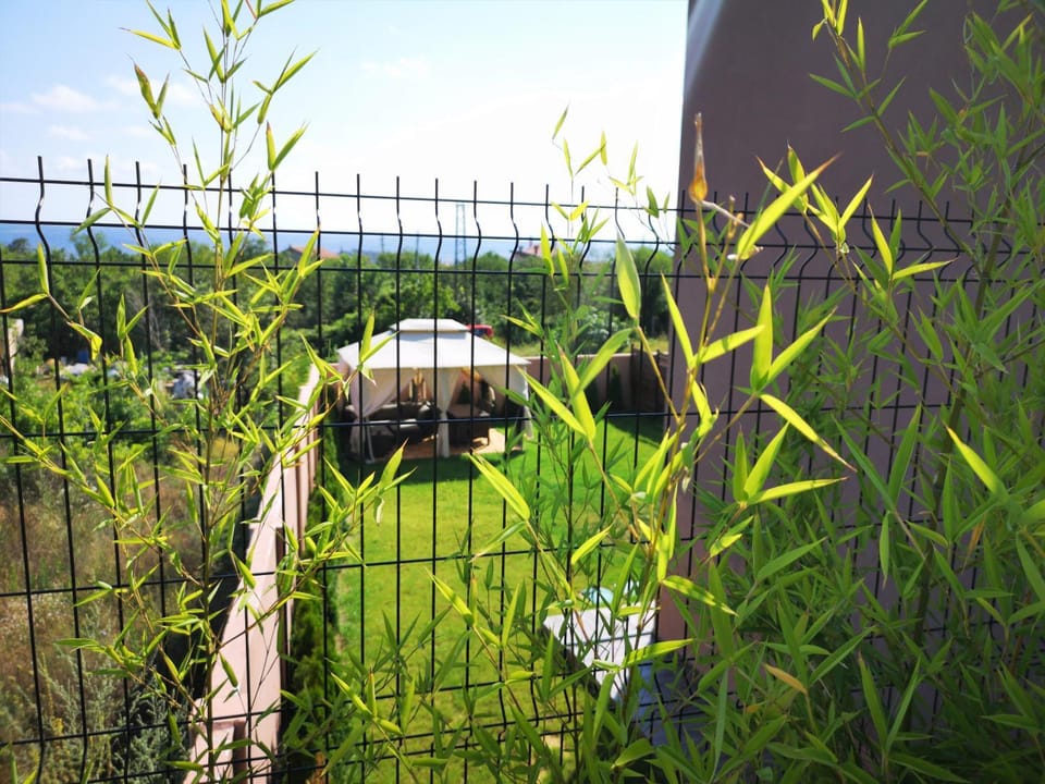 Natural landscape, Garden, Garden view