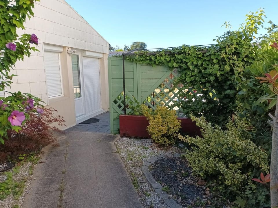 Patio, Garden, Garden view