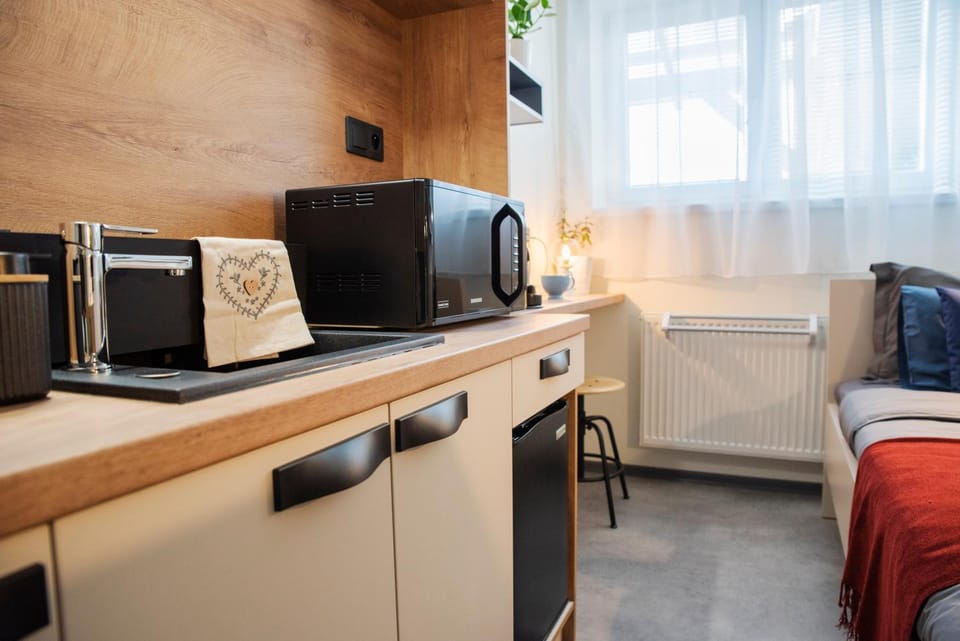 Apartmán u Horynů - Hýblova Apartment in Czechia
