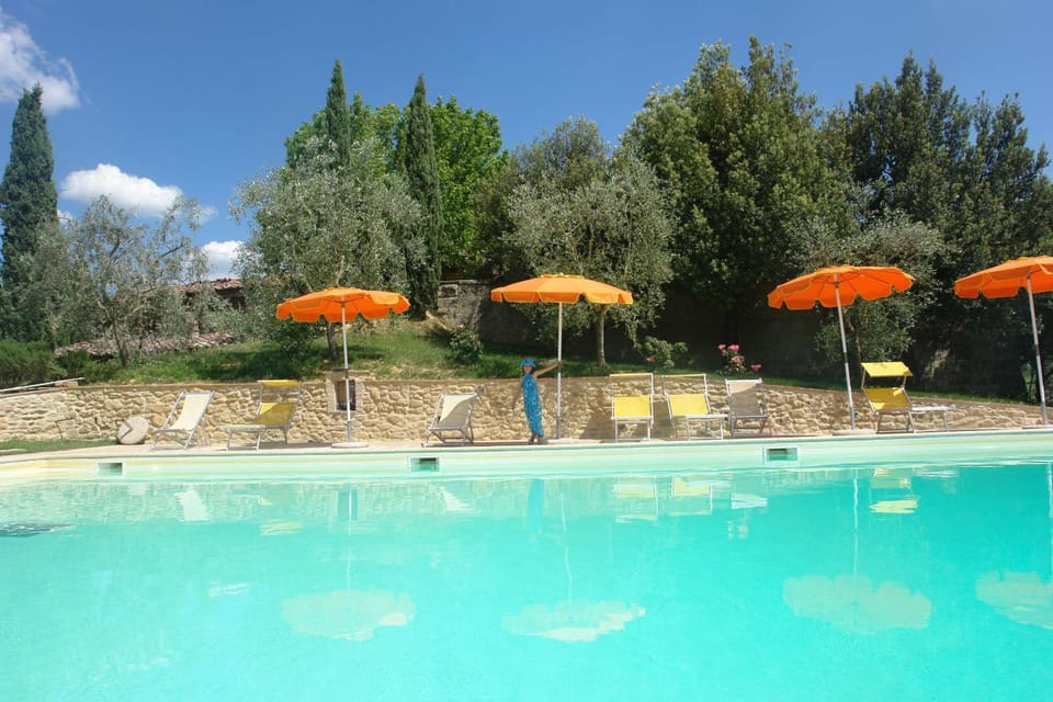 Garden, Swimming pool, Swimming pool