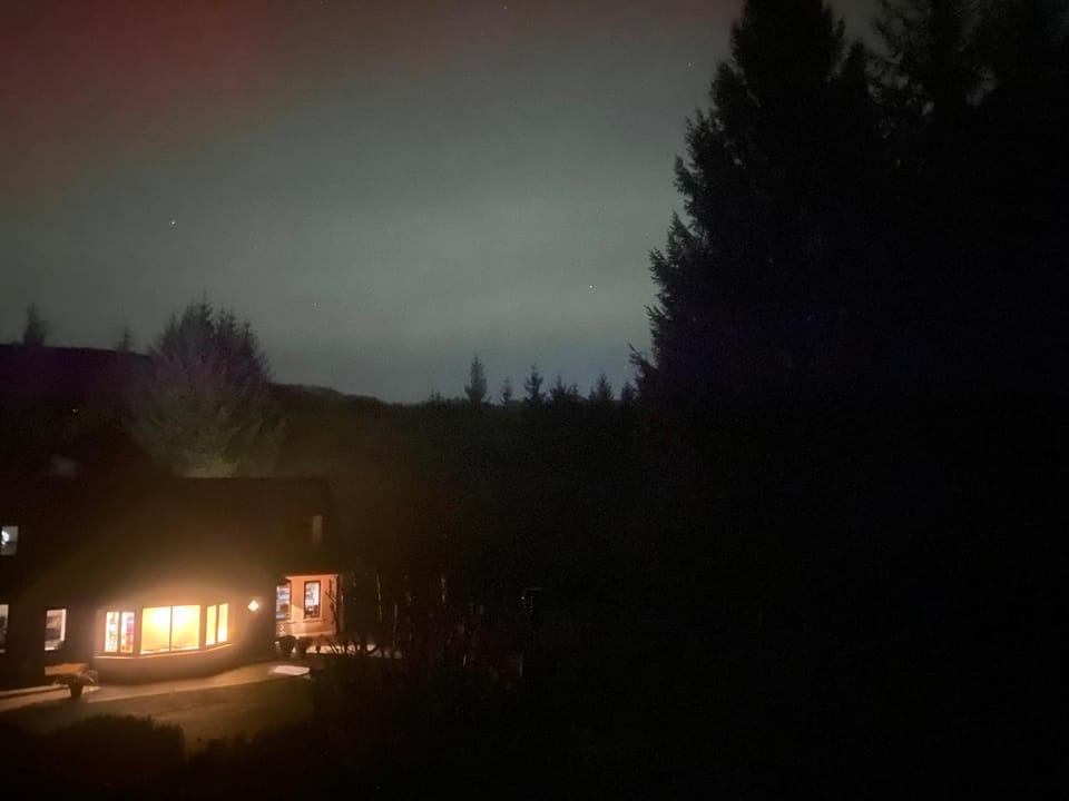 FOREST VIEW Woodland lodge Country House in Wicklow, Co. Wicklow, Ireland