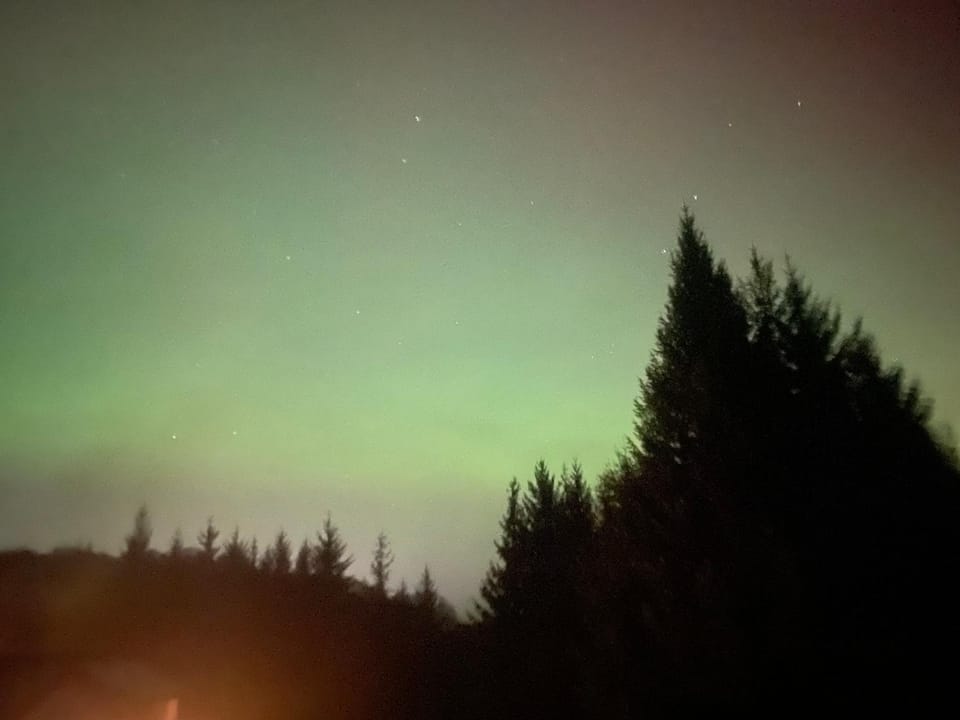 FOREST VIEW Woodland lodge Country House in Wicklow, Co. Wicklow, Ireland