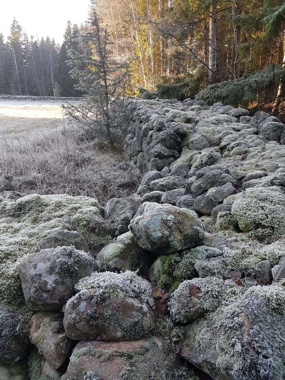 Natural landscape