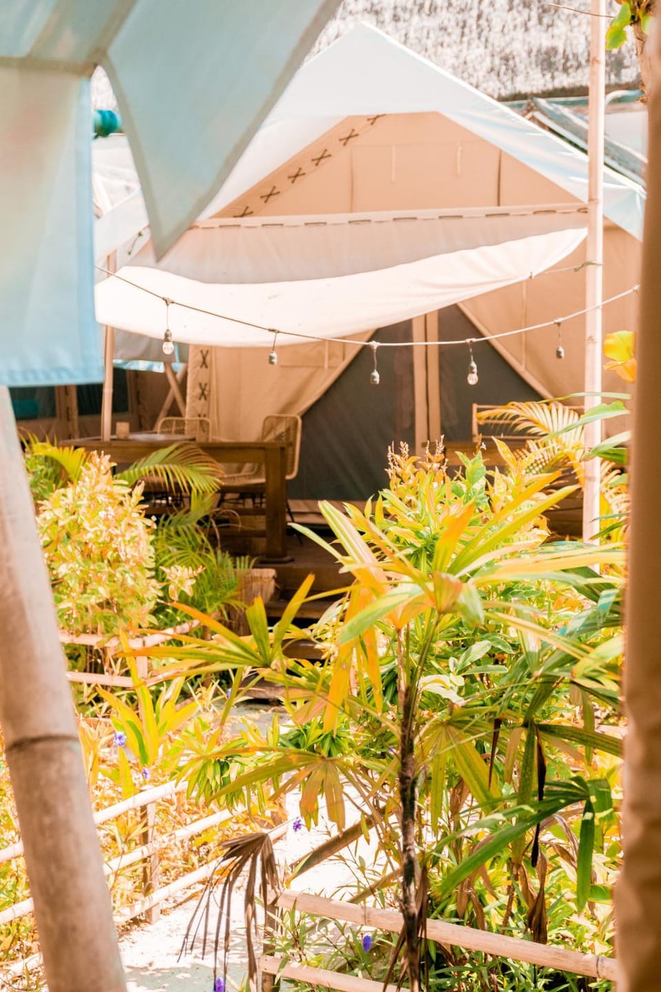 Patio, Garden