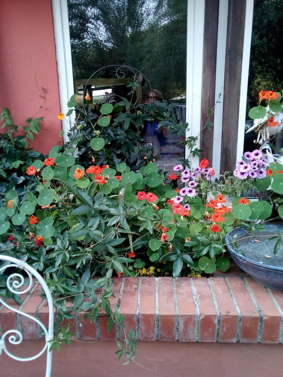 Gli Ulivi Bed & breakfast Bed and Breakfast in Province of Massa and Carrara