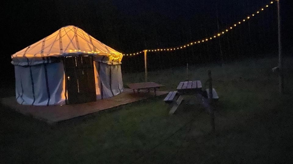 Night, Garden, Garden view