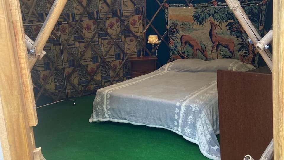 Bed, Natural landscape, Photo of the whole room, Bedroom