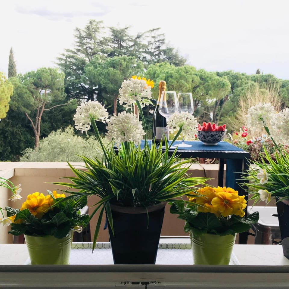 PRIMA CLASSE Apartment in Desenzano del Garda