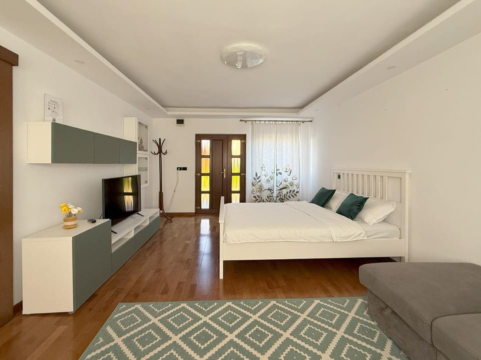 Bed, TV and multimedia, Living room, Photo of the whole room, Seating area, Bedroom