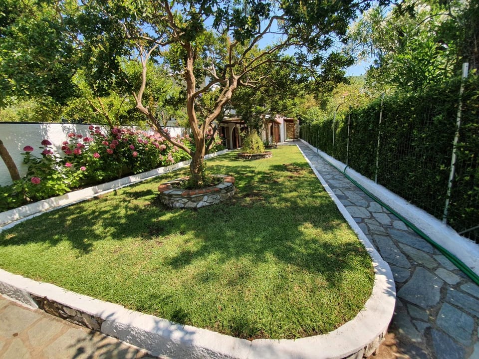 Dionisos Studios and Apts Skiathos Apartment hotel in Sporades, Greece