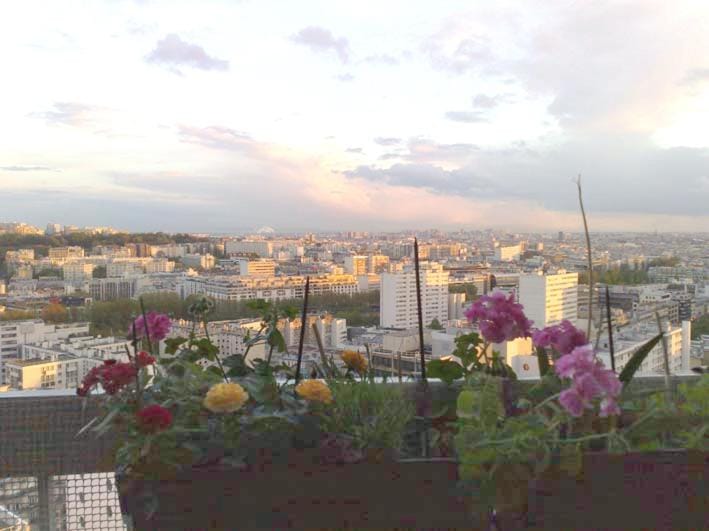 Balcony/Terrace, Balcony/Terrace