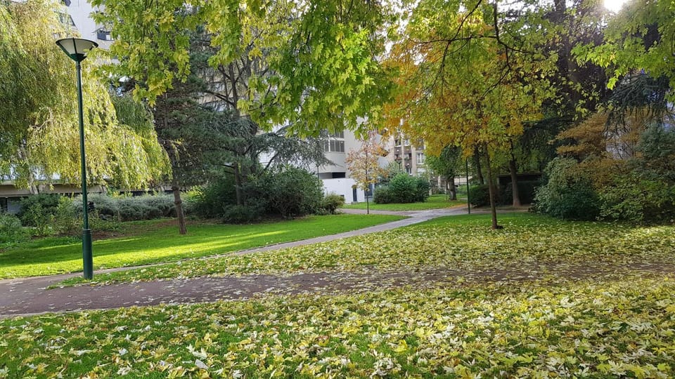 Garden, Garden