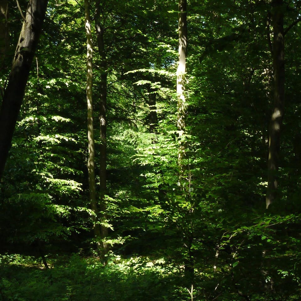 Natural landscape, Other