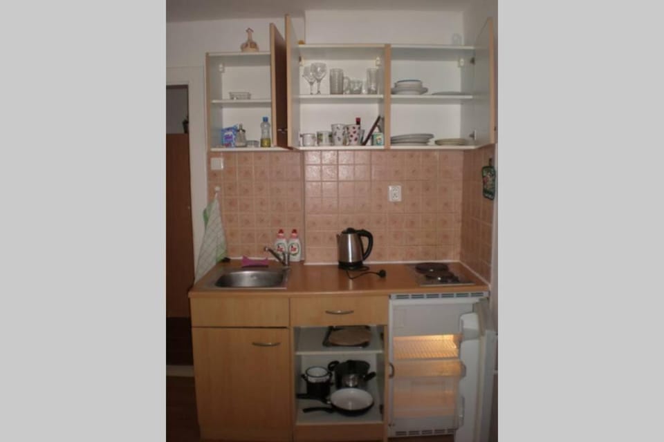 Apartmán v centru Apartment in South Moravian Region