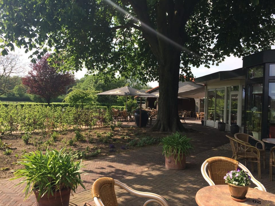 Property building, Spring, Garden, Balcony/Terrace, Garden view, Meals, Lunch, Dinner, Drinks, Alcoholic drinks, Non alcoholic drinks