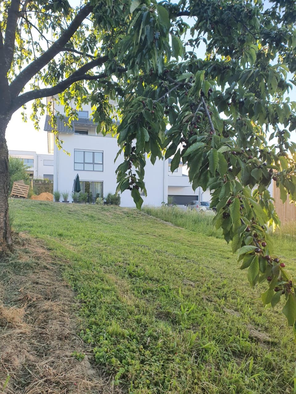 Quiet Place Apartment in Ortenau